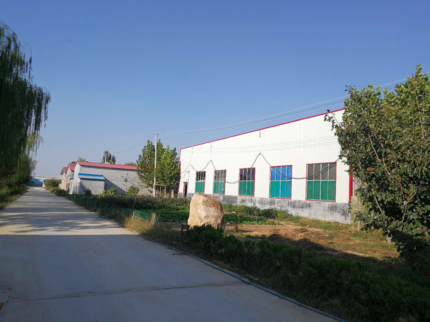 1559200298283622.jpg 微信圖片_201809281600591.jpg