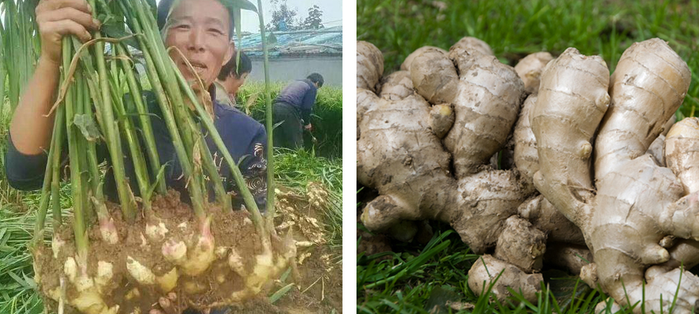 1562051534291927.jpg 1.jpg