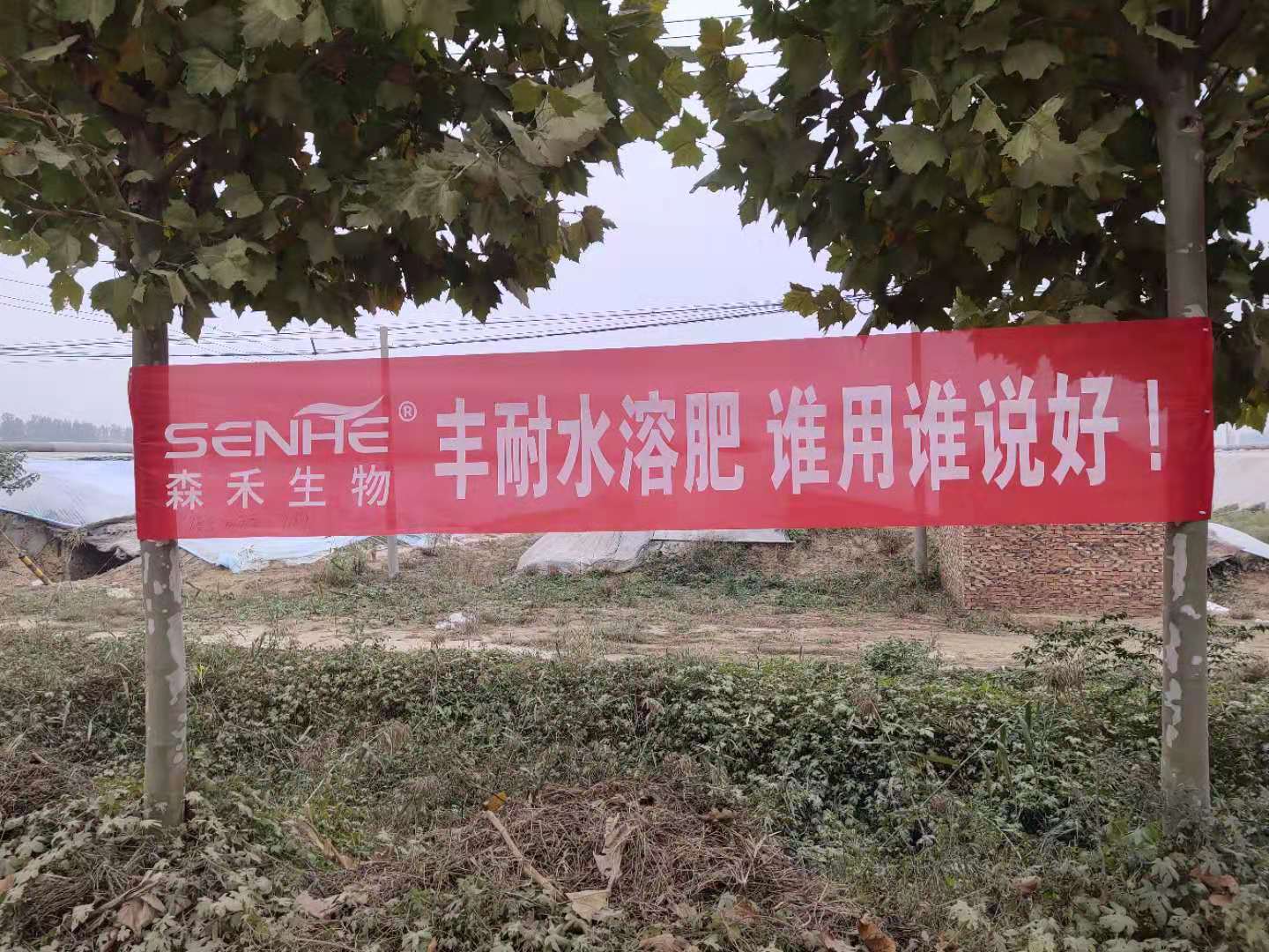 1575525847792167.jpg 條幅1.jpg